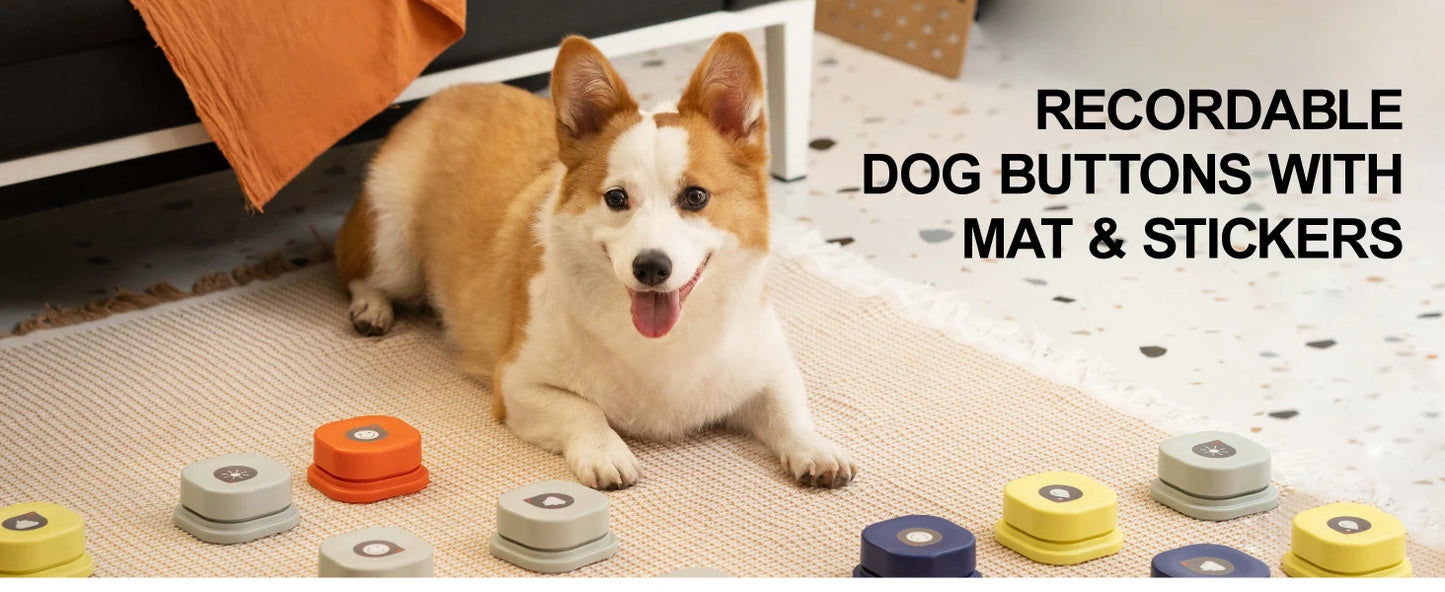 WoofTalk